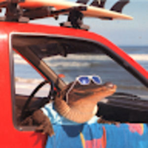 Meet your Posher, Caleb